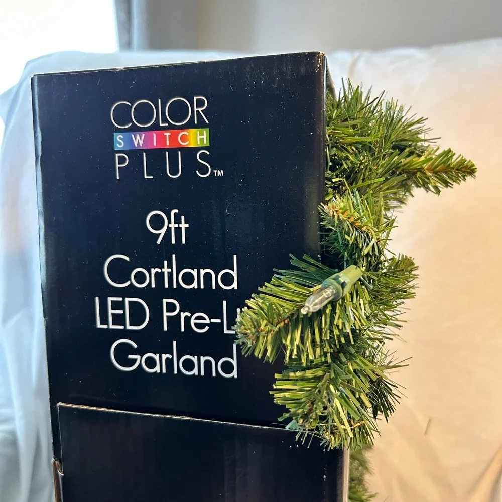 Color Switch Plus 9ft Cortland LED Pre-Lit Garland Color Changing Battery Timer